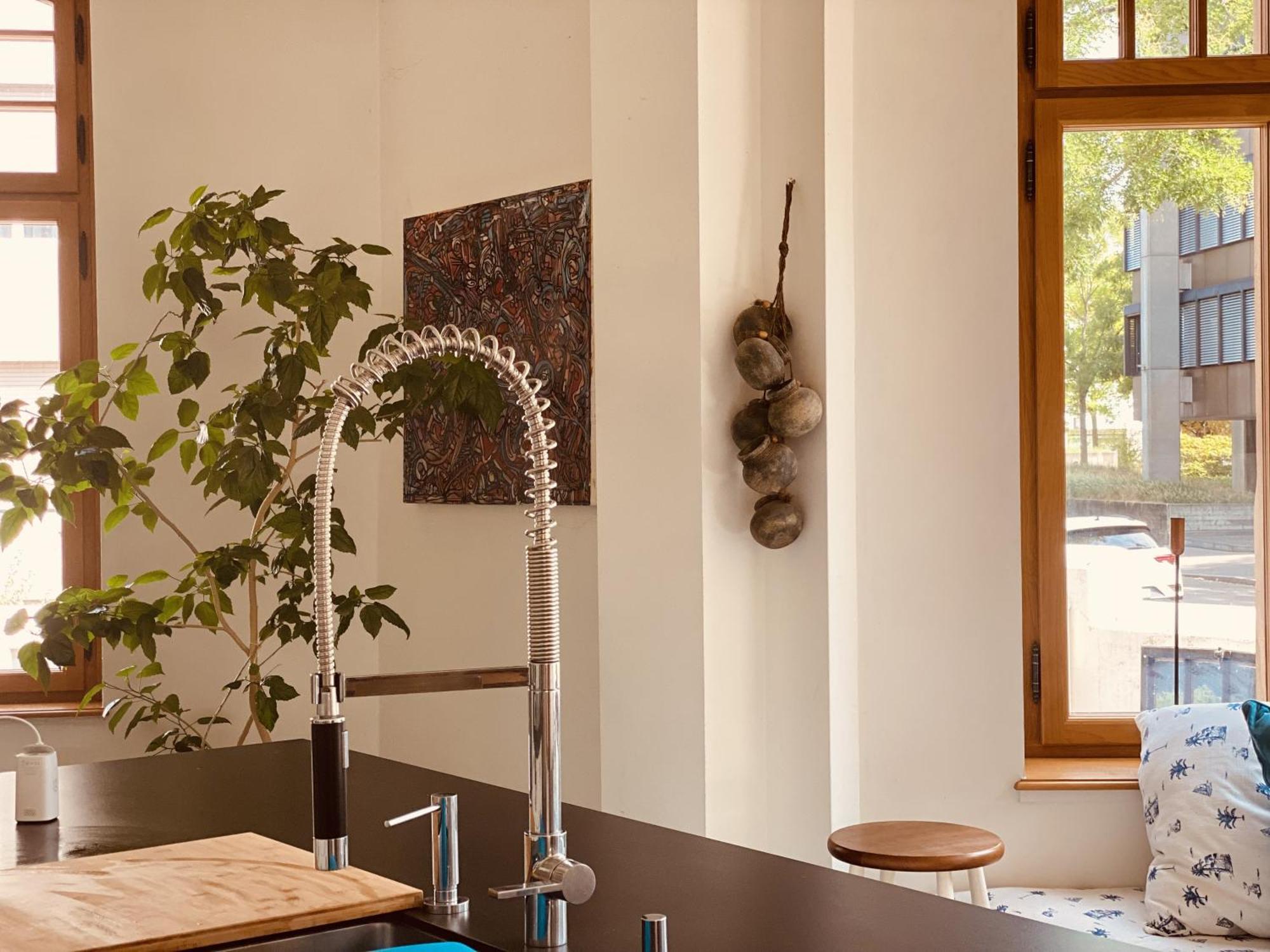 Georgian Guest Rooms Basel Eksteriør billede
